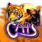 Cats slot review